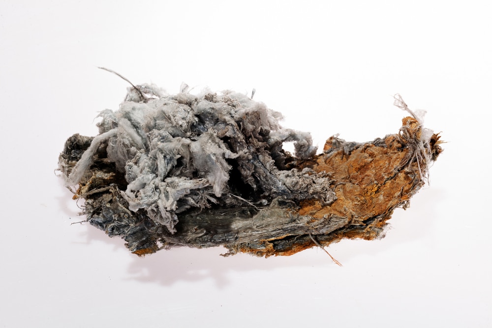 Small Piece of Asbestos Containing Material or ACM