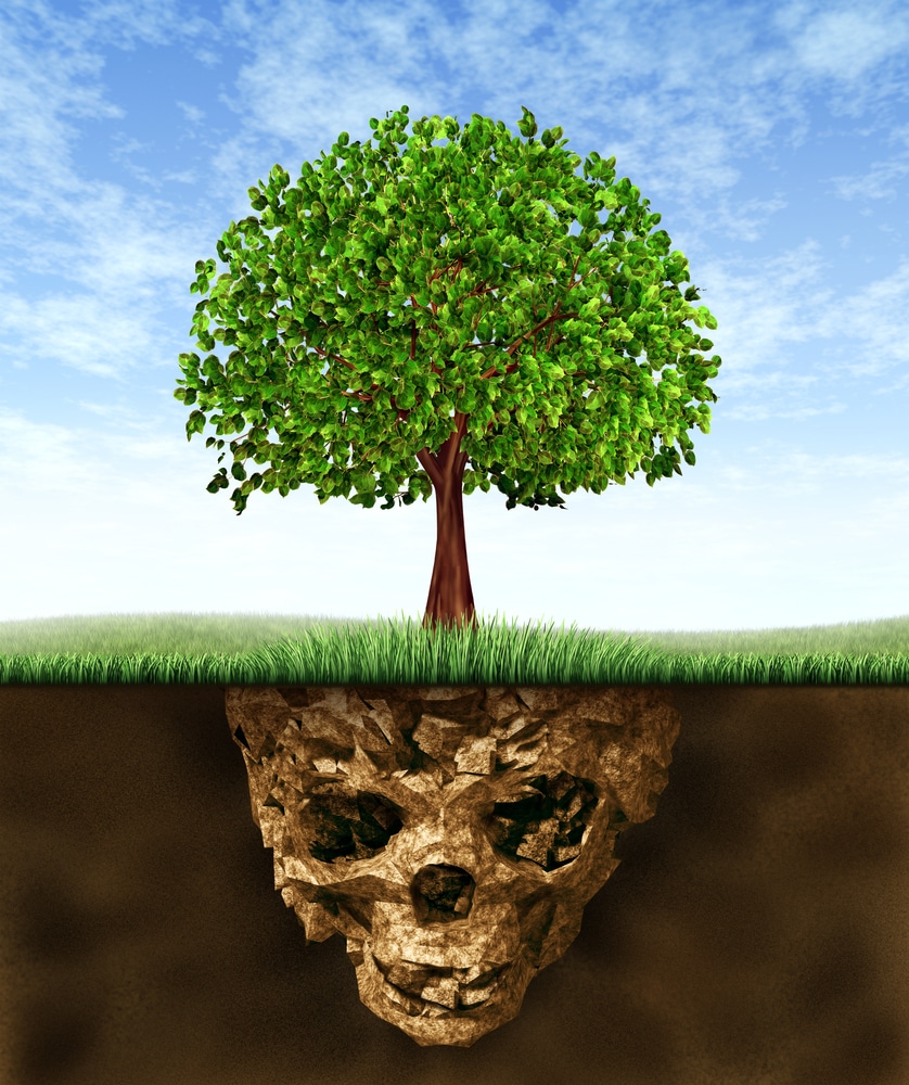 A tree growing out of a hole in the ground. Picture shows polluted soil beneath